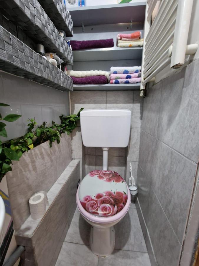 Apartament Ultracentral 2 Piata Muzeului 클루지나포카 외부 사진