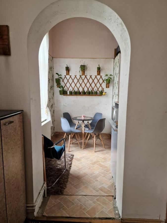 Apartament Ultracentral 2 Piata Muzeului 클루지나포카 외부 사진