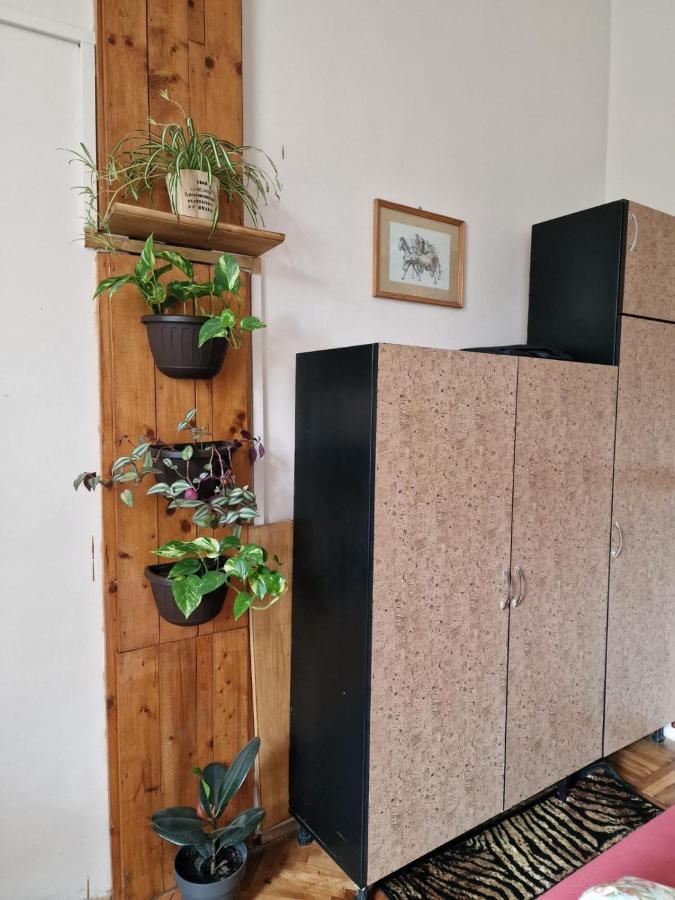 Apartament Ultracentral 2 Piata Muzeului 클루지나포카 외부 사진