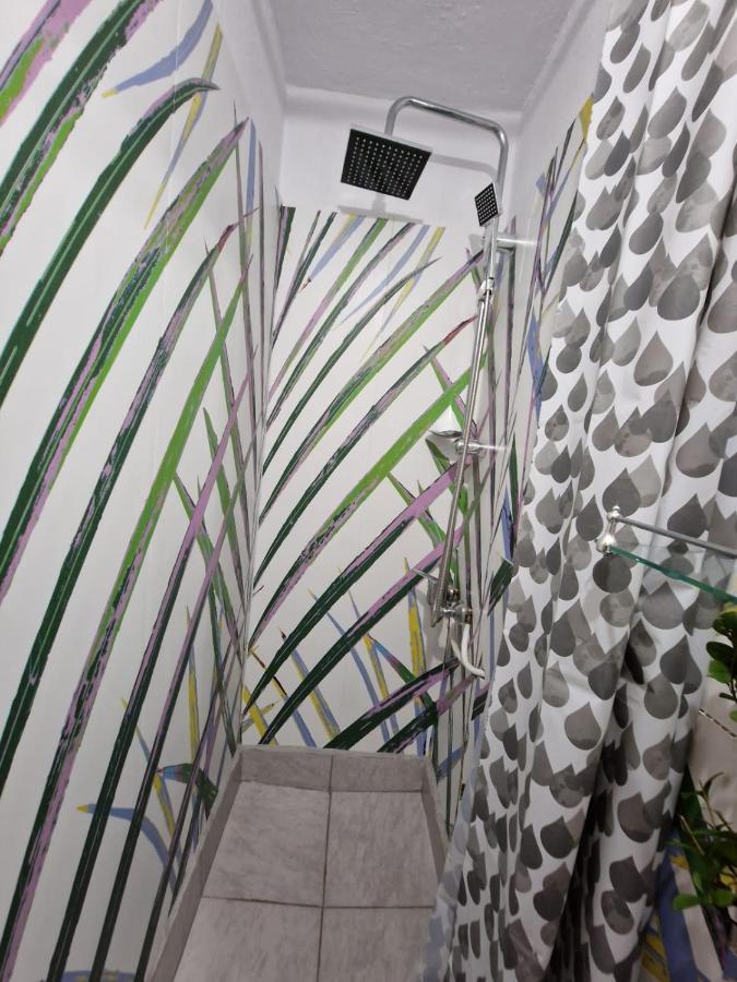 Apartament Ultracentral 2 Piata Muzeului 클루지나포카 외부 사진